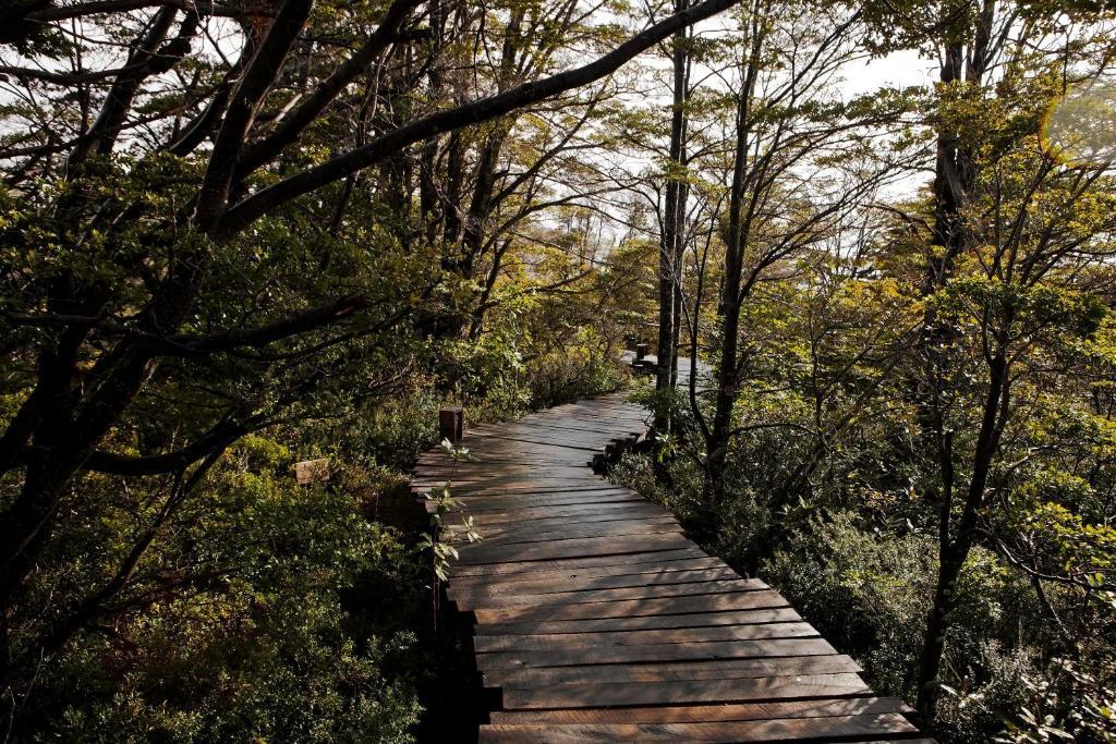 Hotel Patagonia Camp Torres del Paine National Park Exterior foto